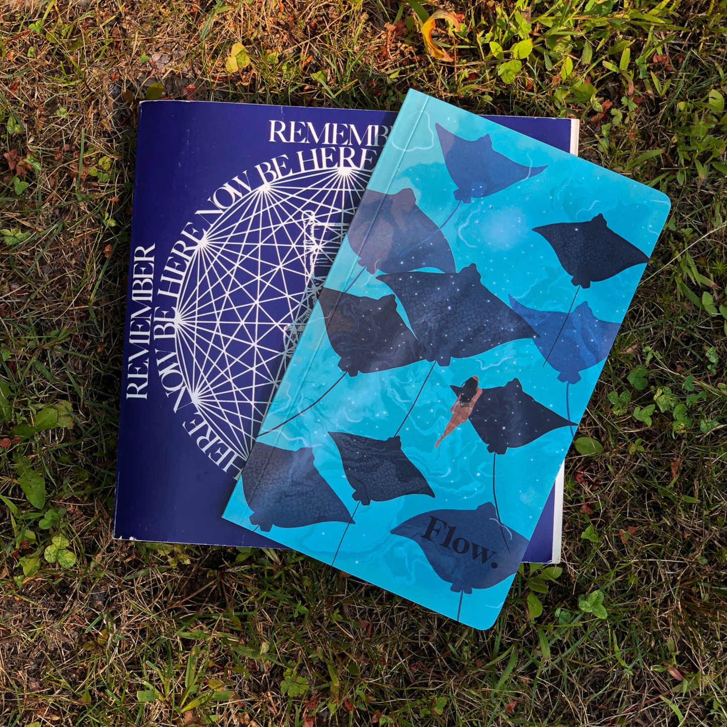 Flow Notebook