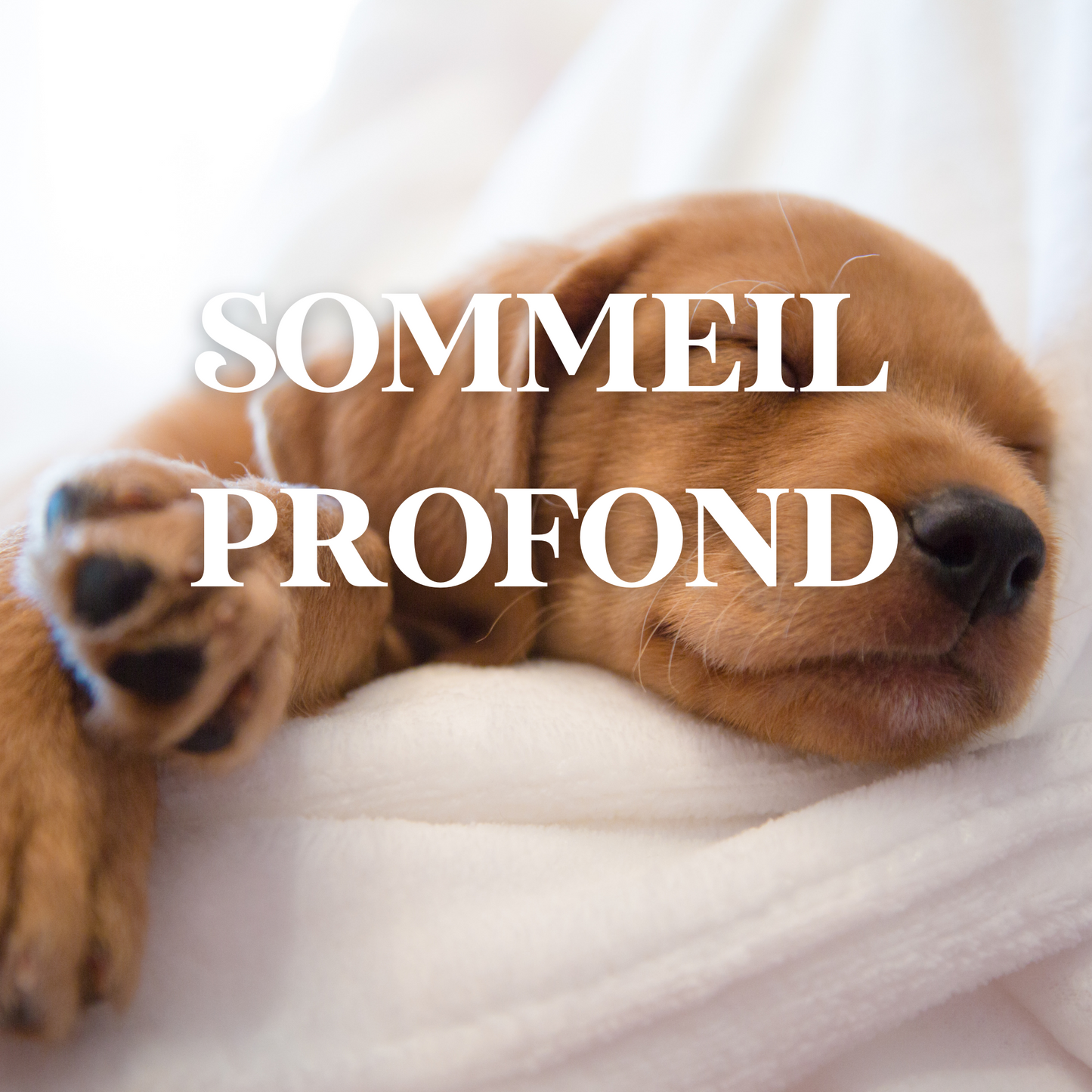 Sommeil profond