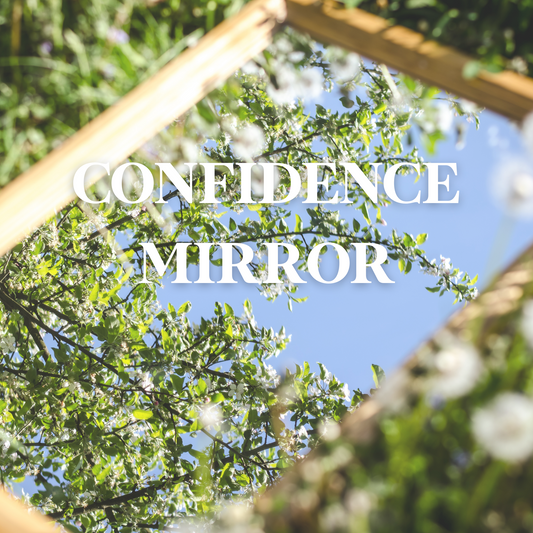 Le Miroir de la Confiance - FR
