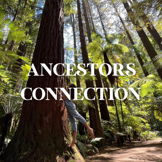 Ancestors Connection - FR
